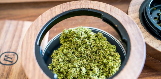 Bud can be a powerful force that can unite common people - no matter how one uses or what strain they prefer.