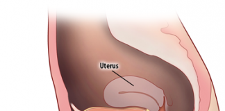 electric stimulation vagina