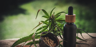 Everything You Need to Know About Hemp