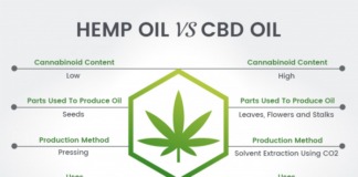 CBD VS Hemp