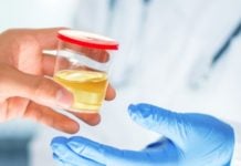 How To Use Synthetic Urine For A Drug Test